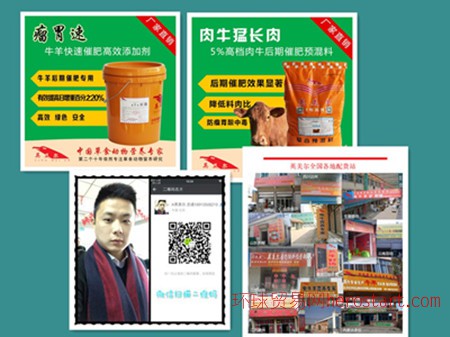 4、 Anglo-Meier 肉牛專用預混料：什么飼料對牛有益