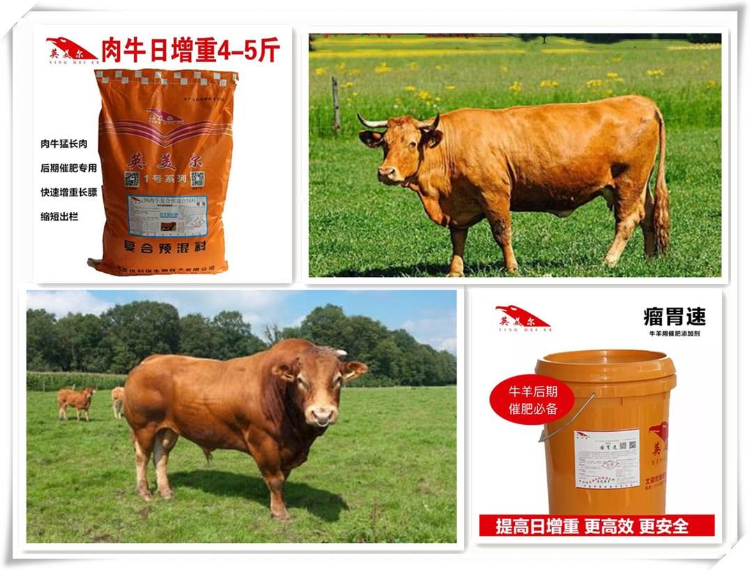 4、中國(guó)最好的牛羊飼料是哪家