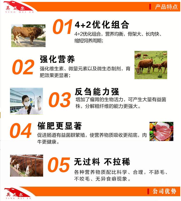 2、一頭奶牛一年應(yīng)該準(zhǔn)備多少飼料？喂食時(shí)如何混合飼料？ 