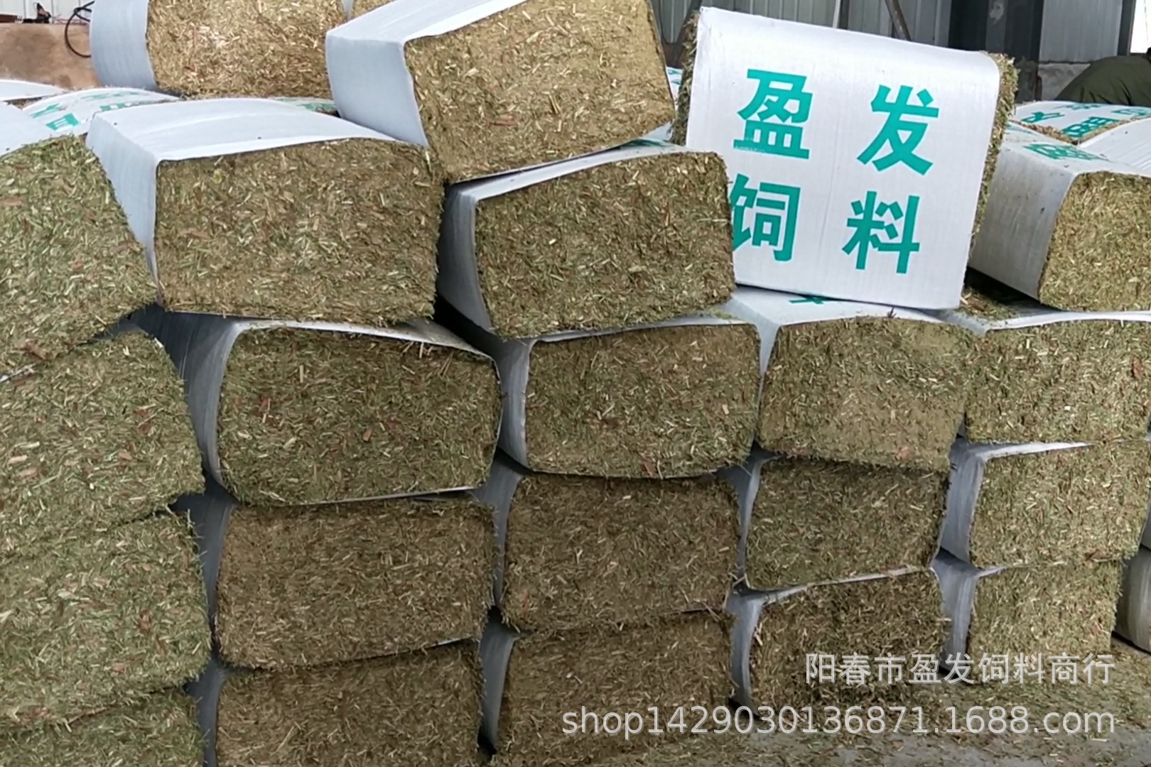 2、全國牛飼料銷售排名