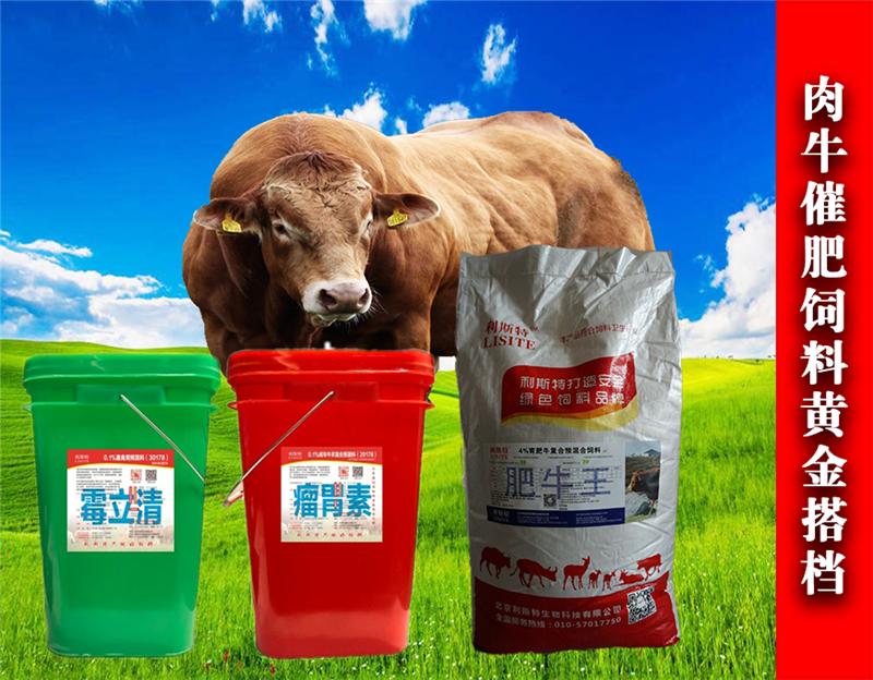 1、育肥牛如何長得更快？紅糖飼喂奶牛具有增肥作用