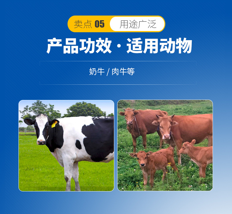 3、奶牛用青貯飼料生產(chǎn)的關(guān)鍵，奶牛用青貯飼料如何制作？ 