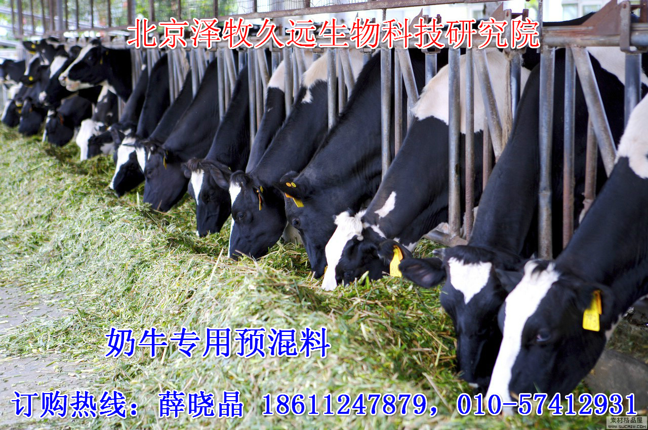 2、奶牛飼料廠有哪些？
