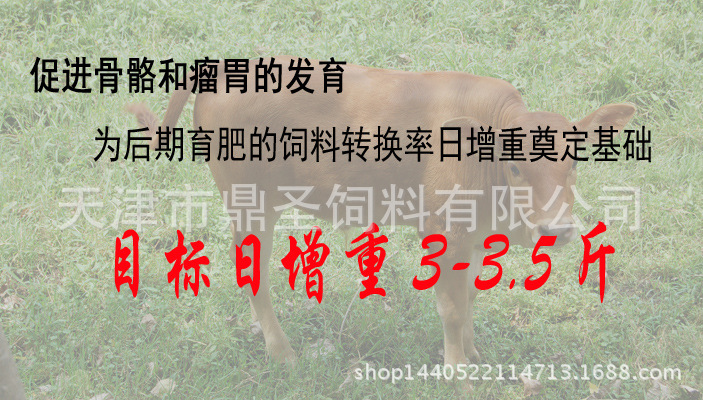 2、育肥牛每天需要多少飼料/肉牛每天吃多少飼料