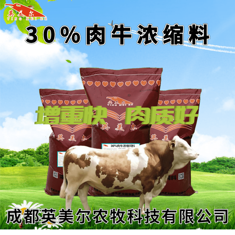 2、養(yǎng)牛用什么飼料好？育肥牛飼料清單